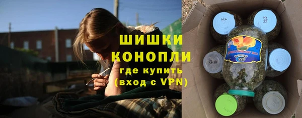 ПСИЛОЦИБИНОВЫЕ ГРИБЫ Белоозёрский
