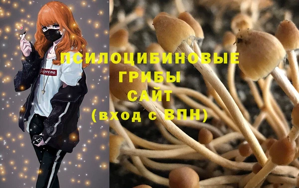 альфа пвп Беломорск