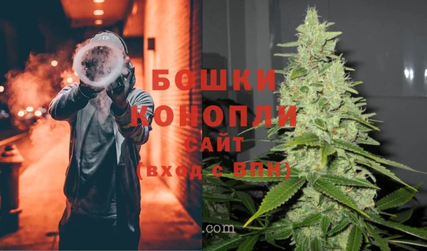 ПСИЛОЦИБИНОВЫЕ ГРИБЫ Белоозёрский