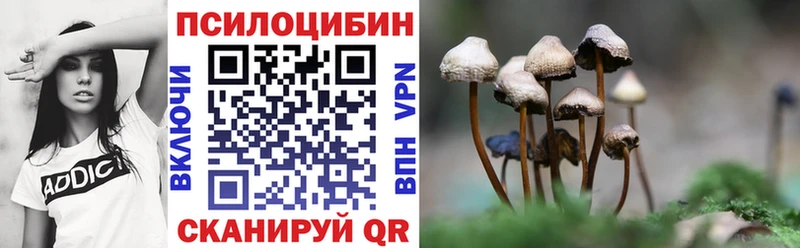мориарти формула  купить наркотик  Оха  Псилоцибиновые грибы Psilocybe 